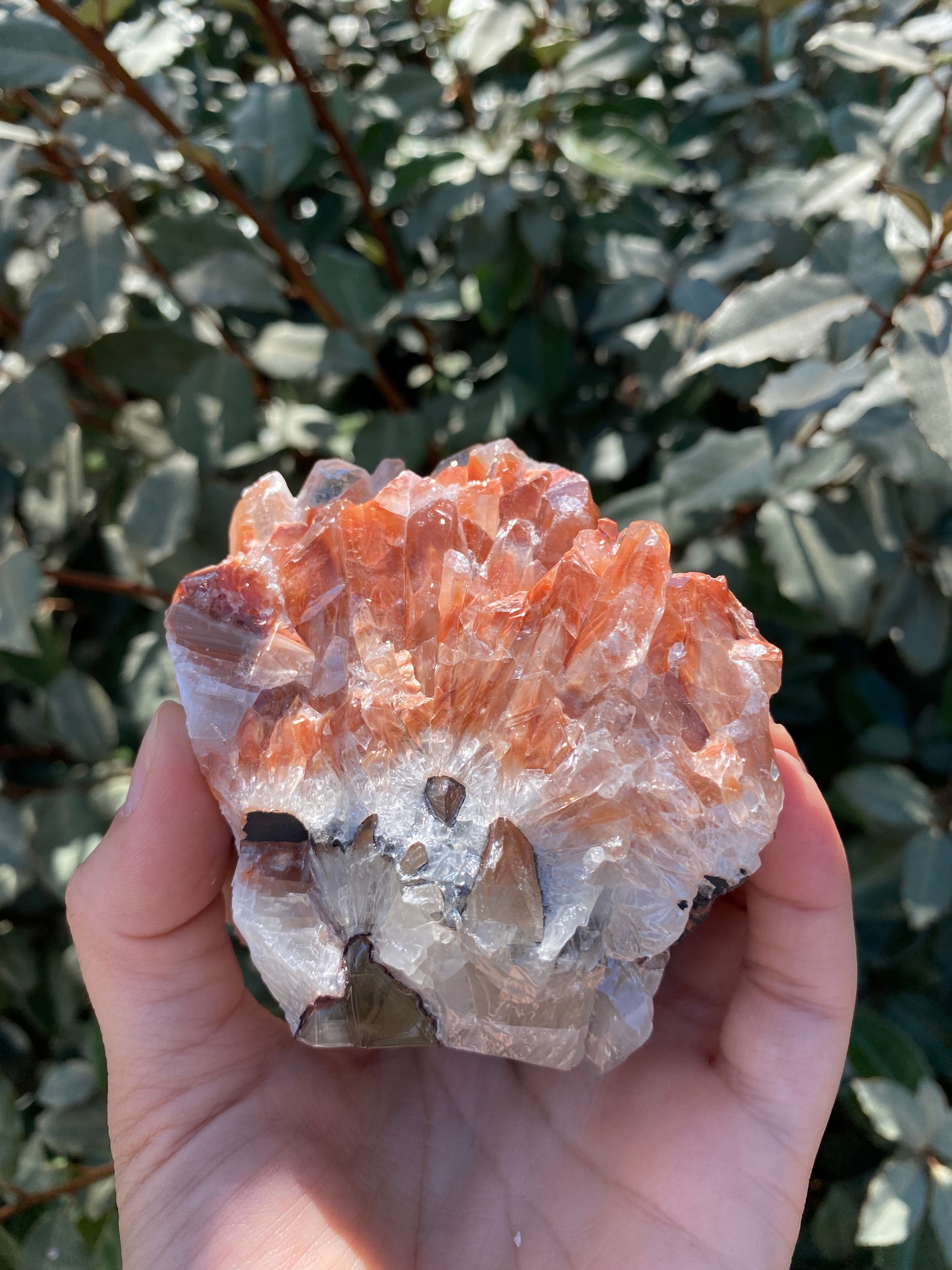 TRI COLORED CALCITE