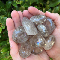 SMOKY QUARTZ TUMBLED STONE LARGE